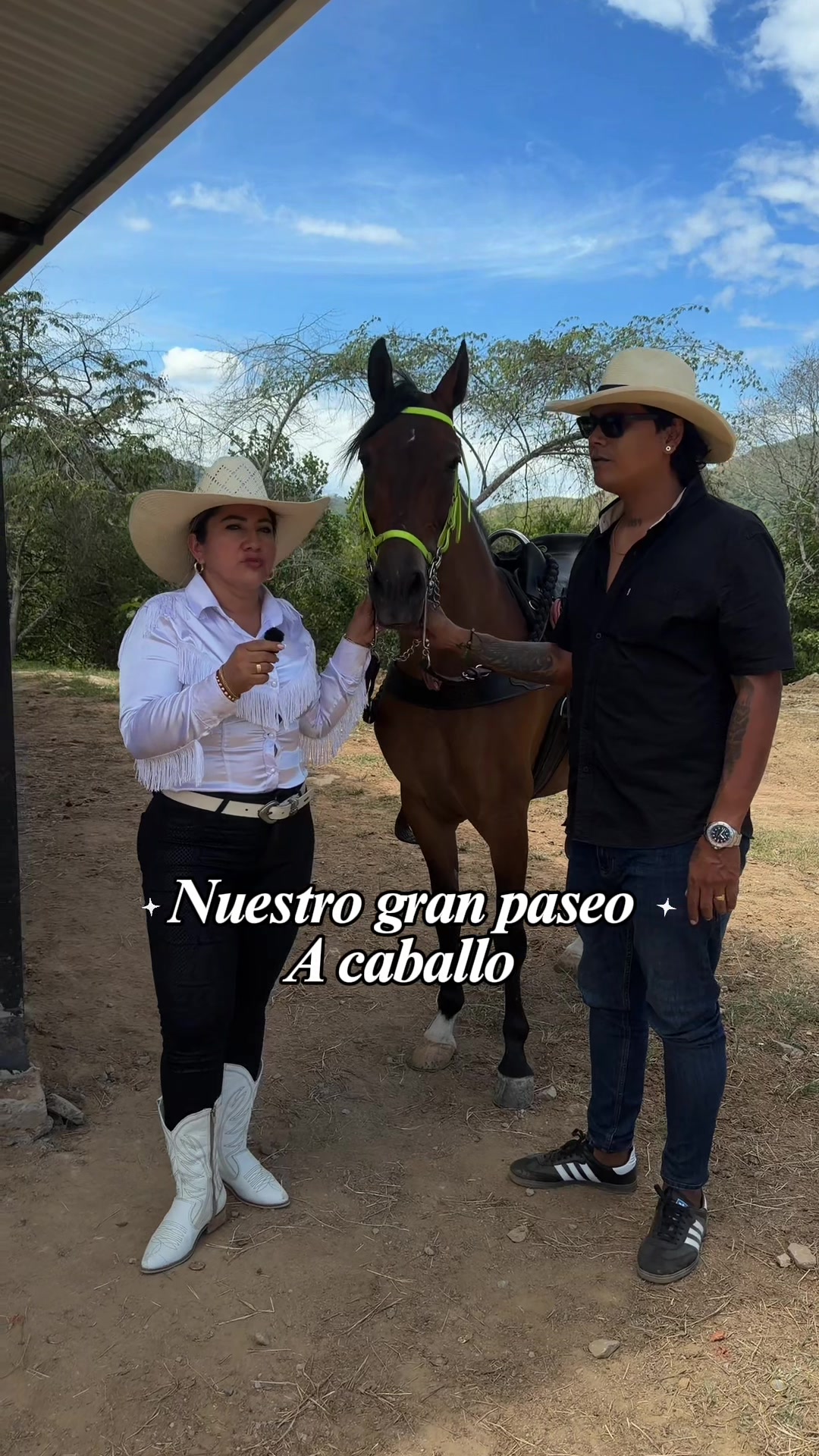 @luisafernanda | creator