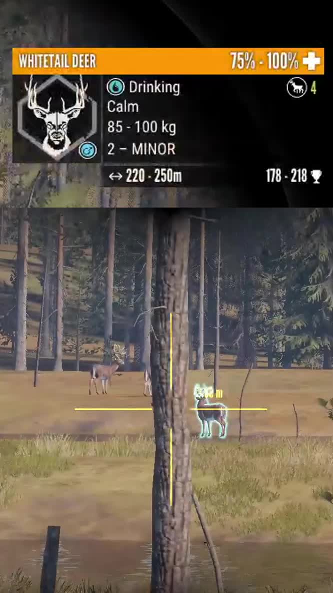 @JMGames