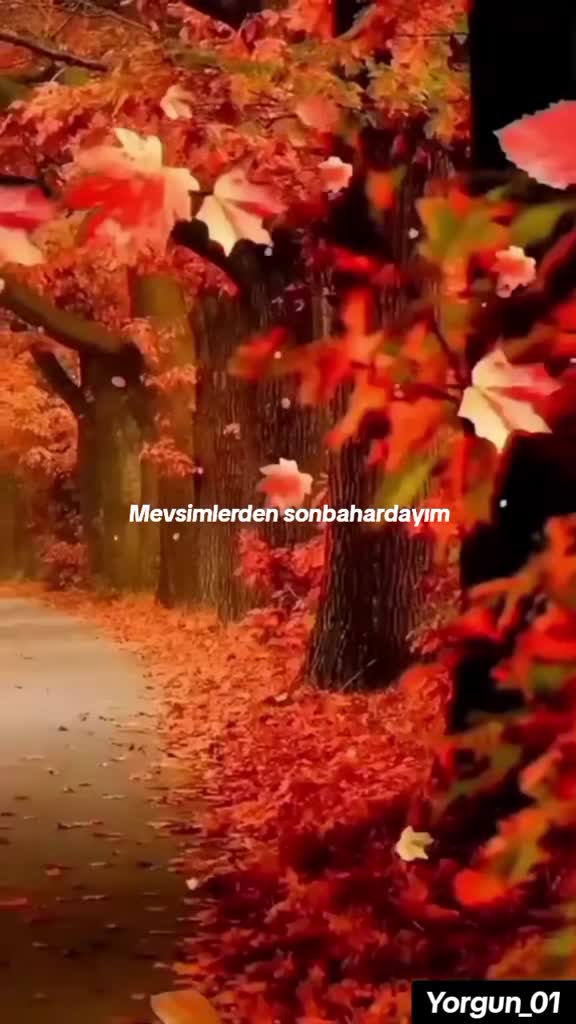 @Yorgun_01