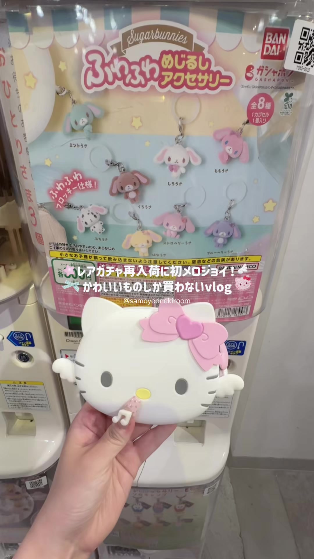@サモエドネキのお部屋