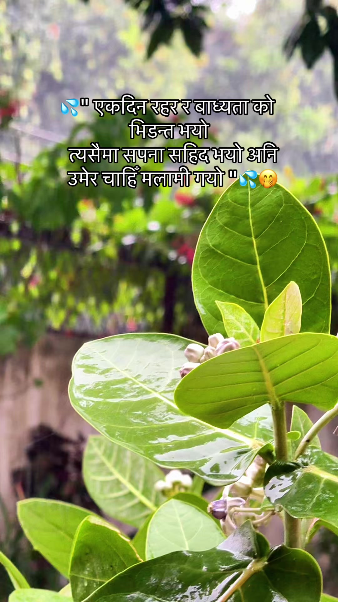 @Divyani