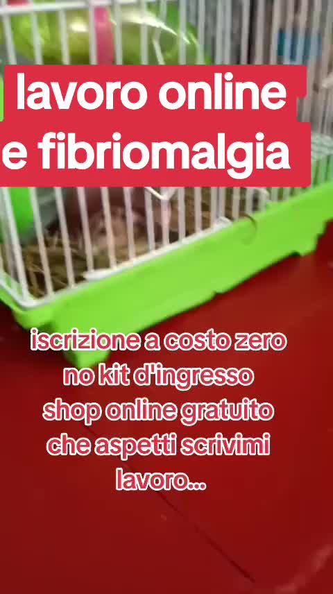 @Katiuscia.bussiness online ✨