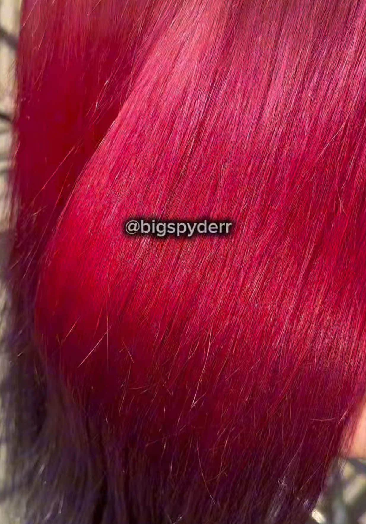 @bigspyderr