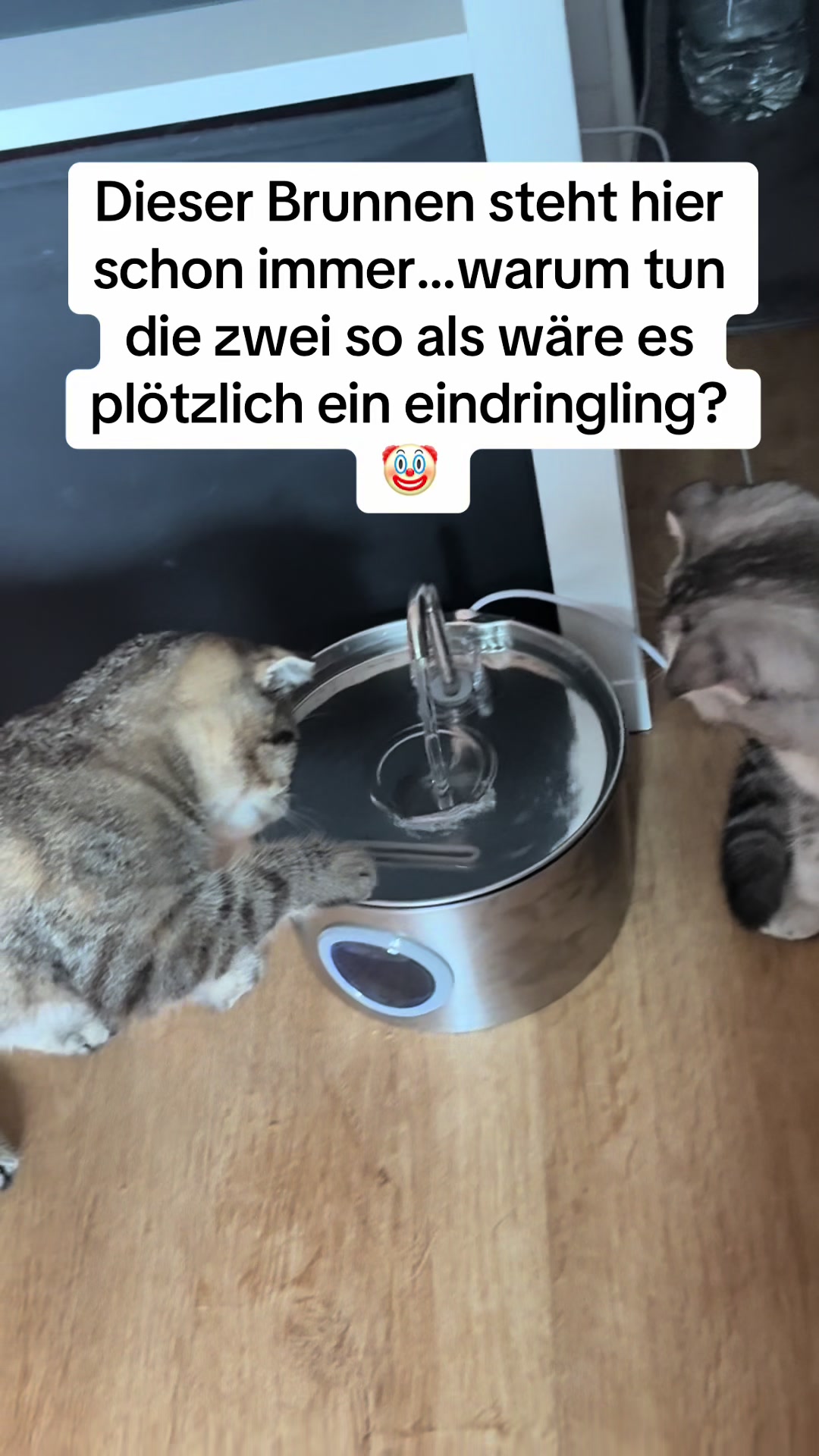 @Divaurteilt
