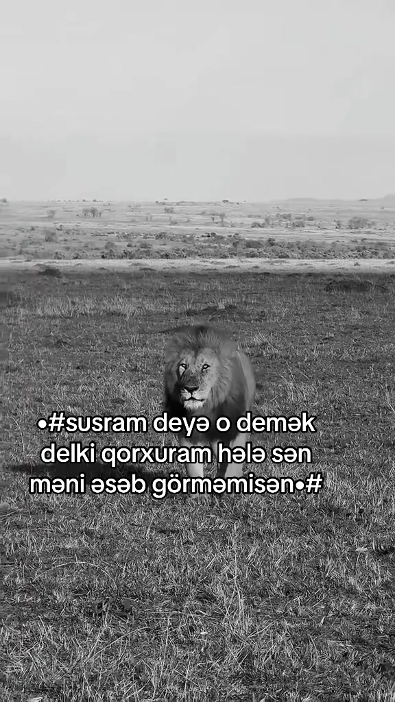 @★彡 VİNİSDON 彡★