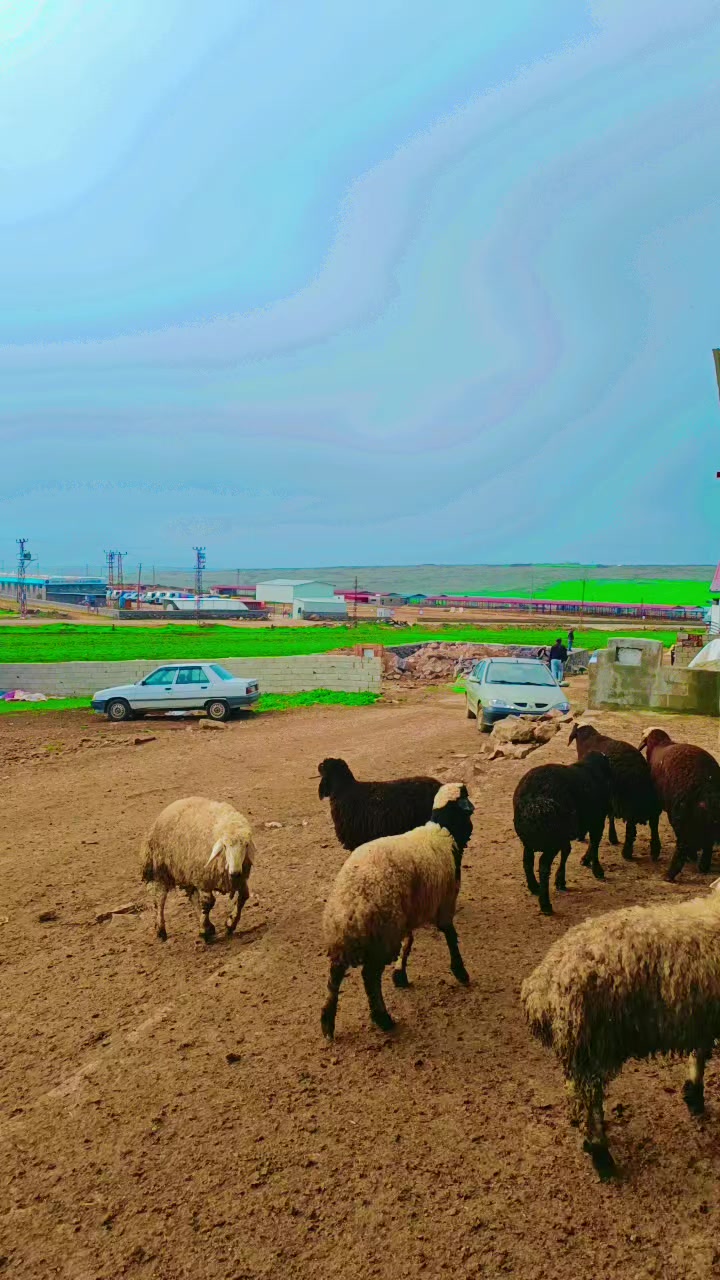 @Ferat G&Uuml;M&Uuml;ŞTAŞ