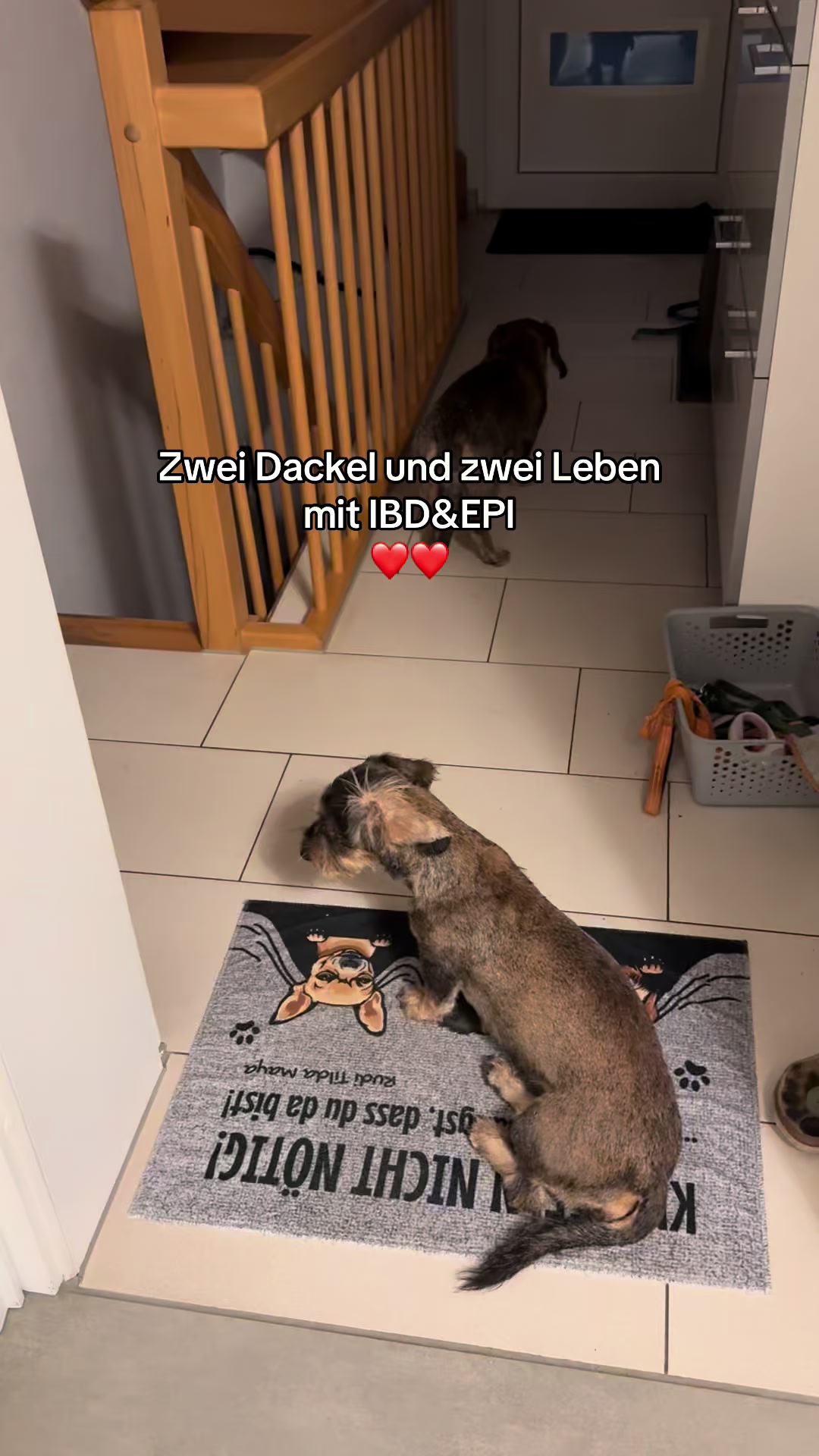 @Ichschützekinderundtiere