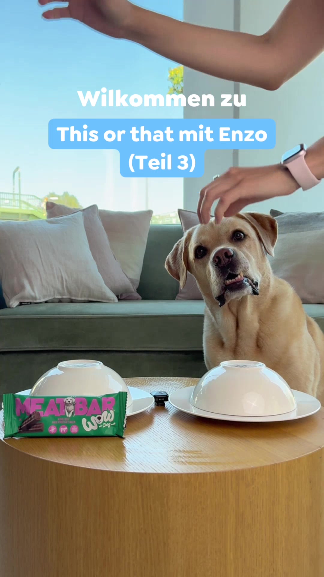 @wow.pet
