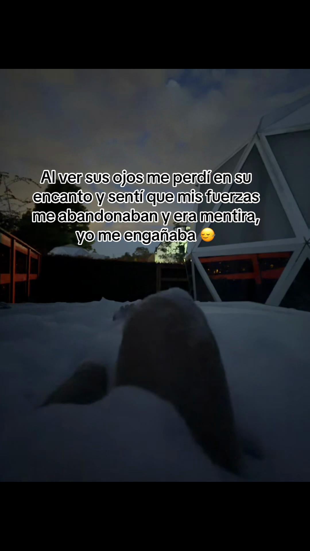 @MarcelaSaenz