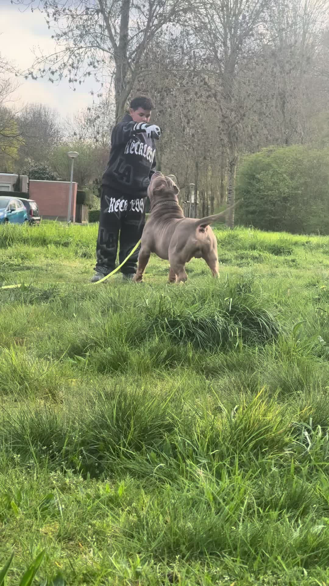 @RAW BULLYS