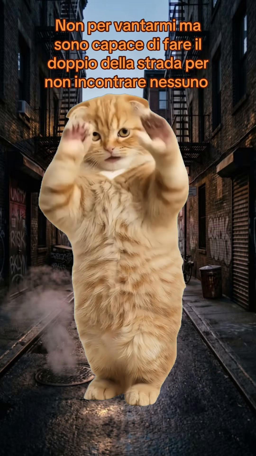 @ᥣᥙᥴ᰻ᥲ🌙🌸🫧