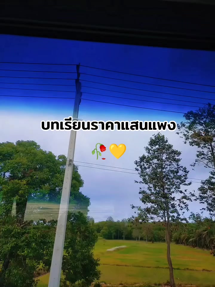 @🏳️🌈💛กุมภาพันธ์💛🏳️🌈