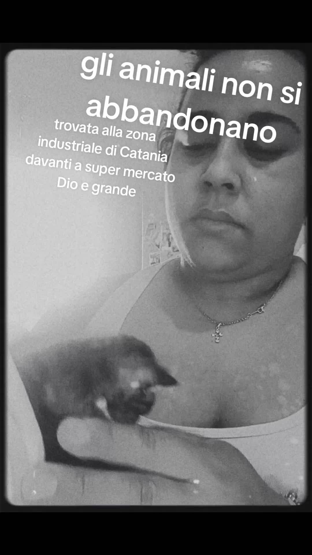 @carmen peppe 5-5-23