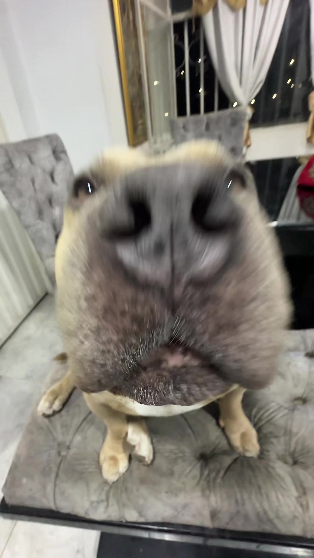 @Vikingo606