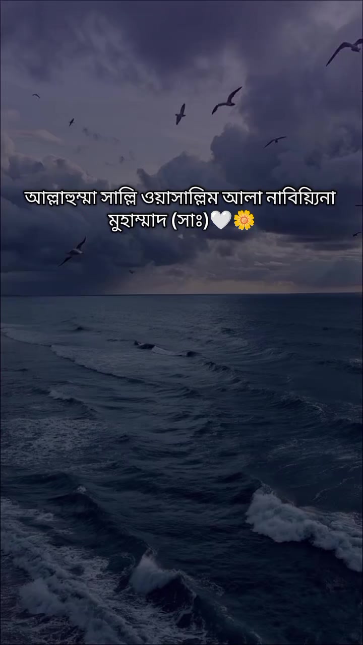 @🇹 🇦 🇳 🇺 ♡︎シ︎