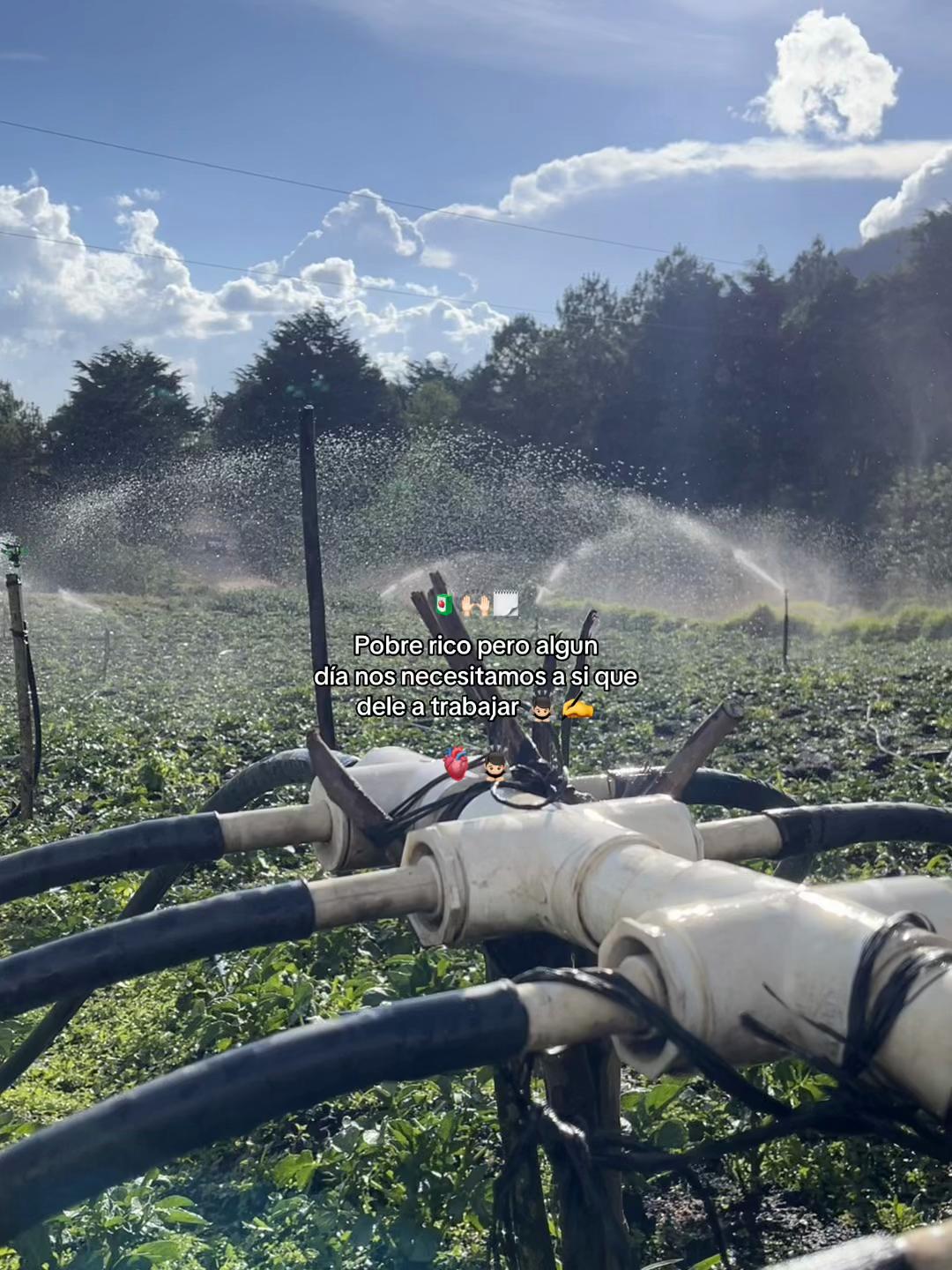 @Eduardo 🌱🚜