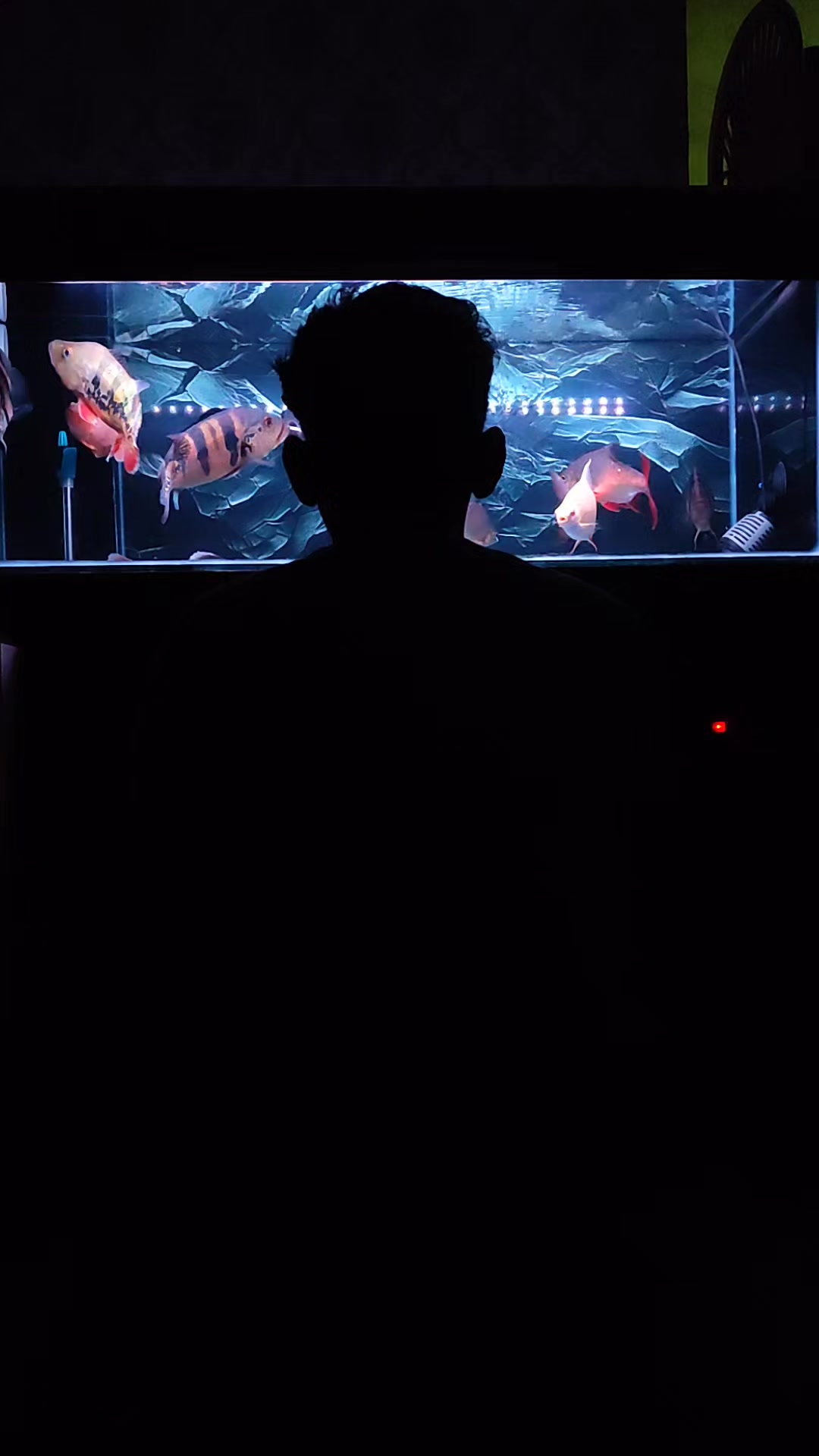 @Naufalhafii