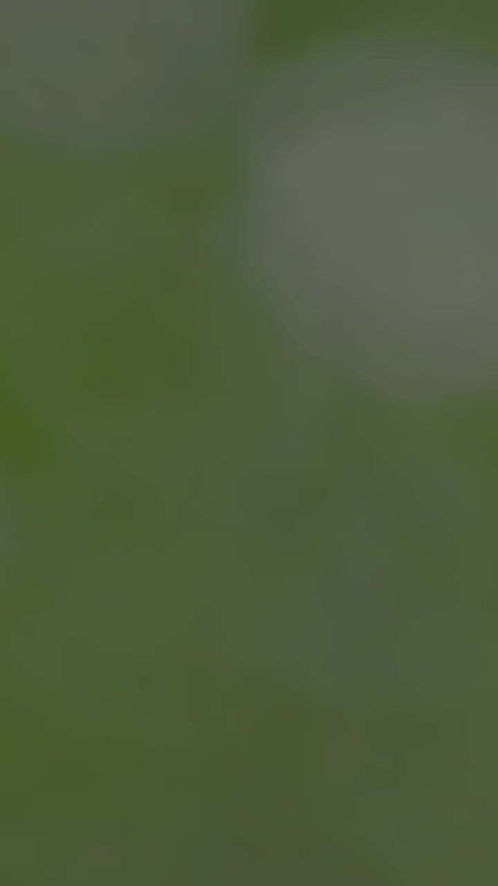 @SuPu_Na 🤍!