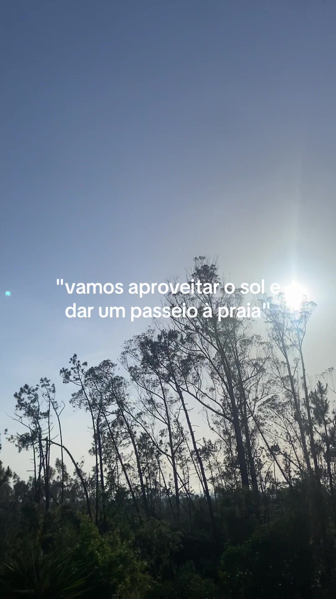@bruna ⭐️