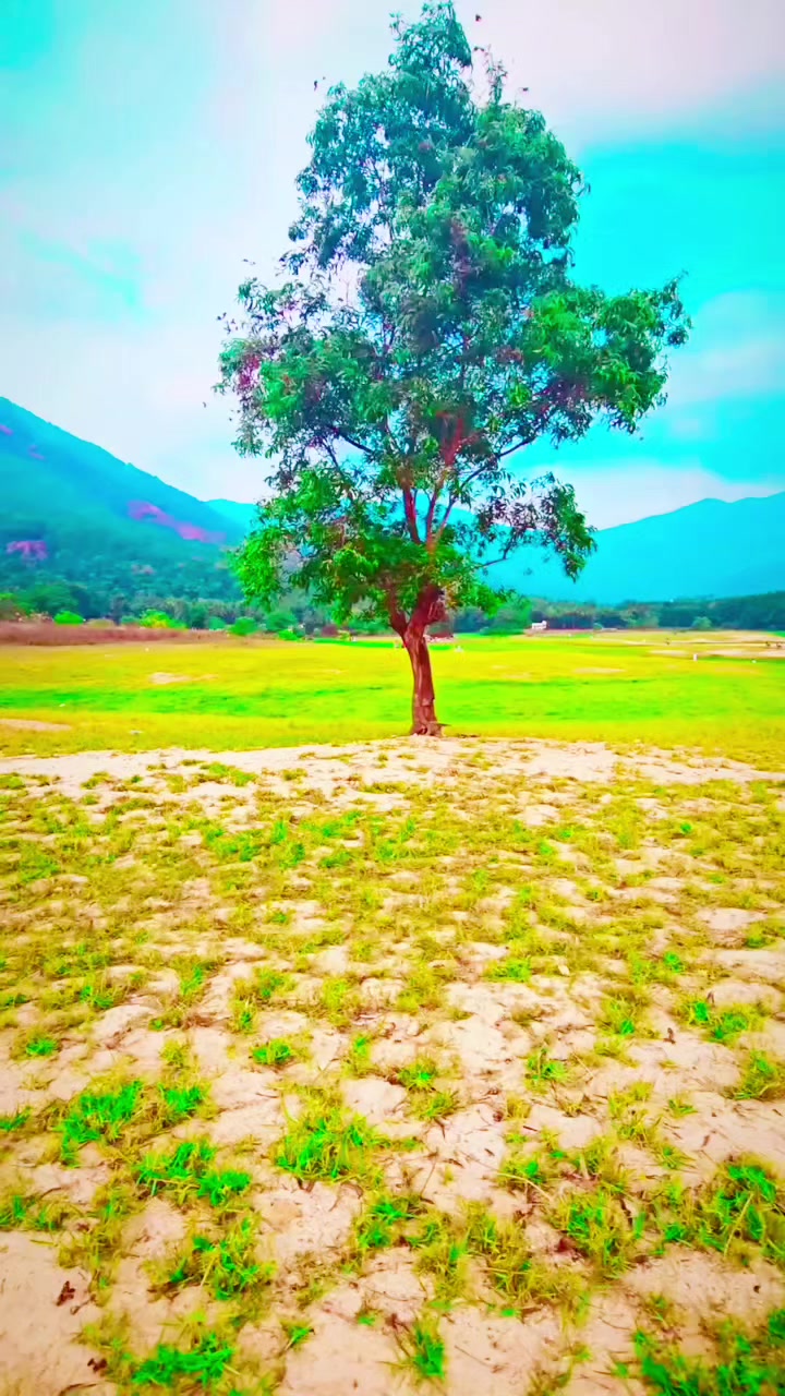 @മുഹമദാലികുറ്റിക്കാടൻ