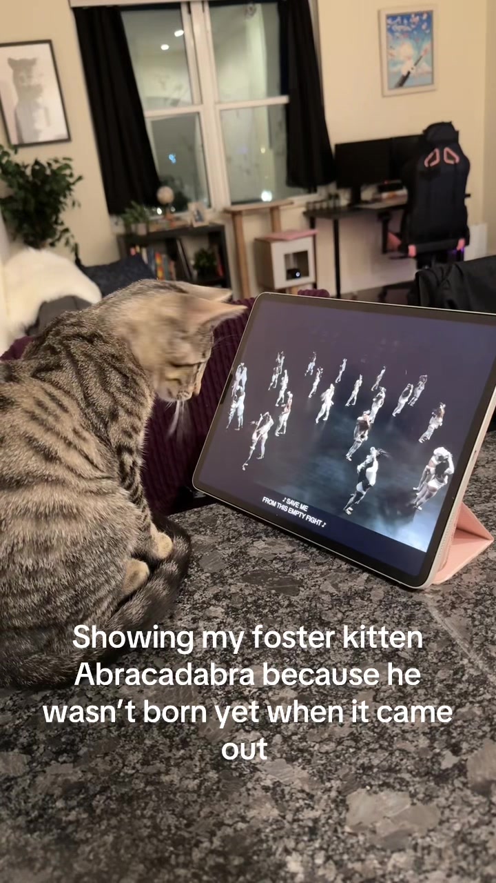 @KYLO JEN
