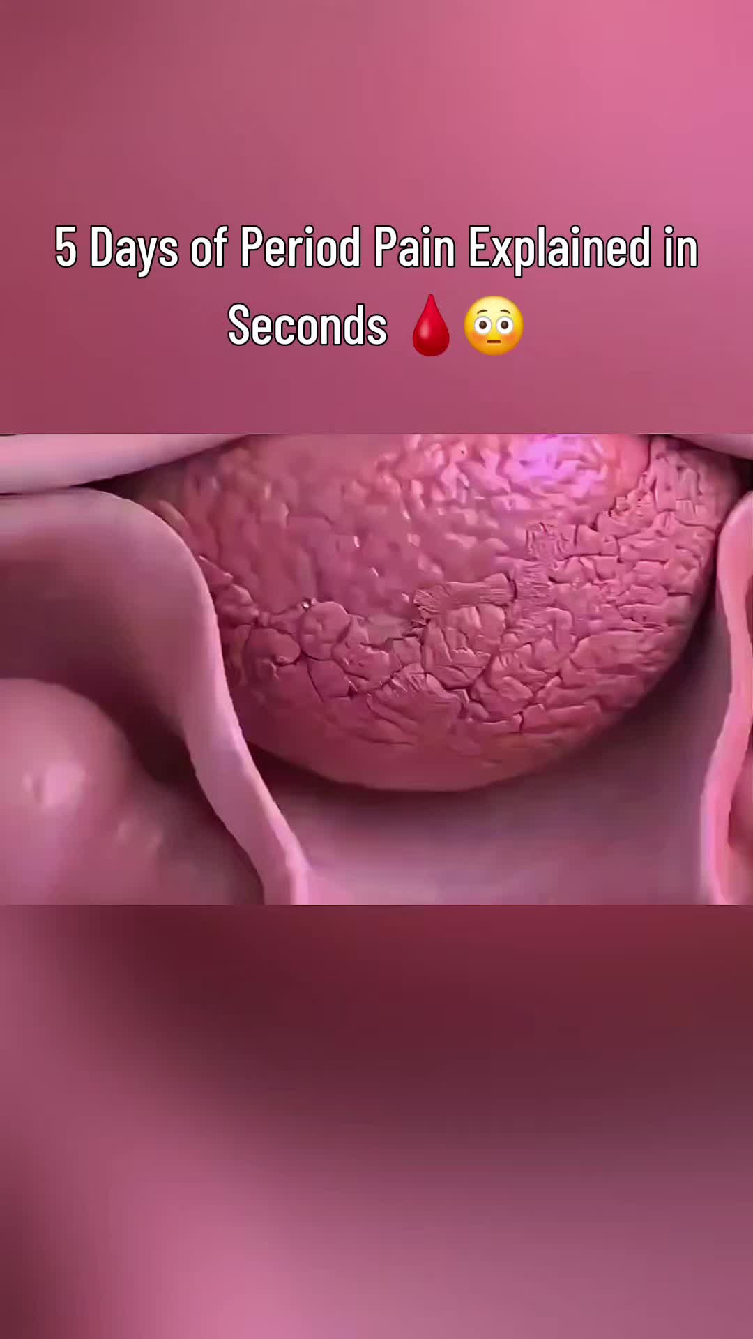 @femniverse 3