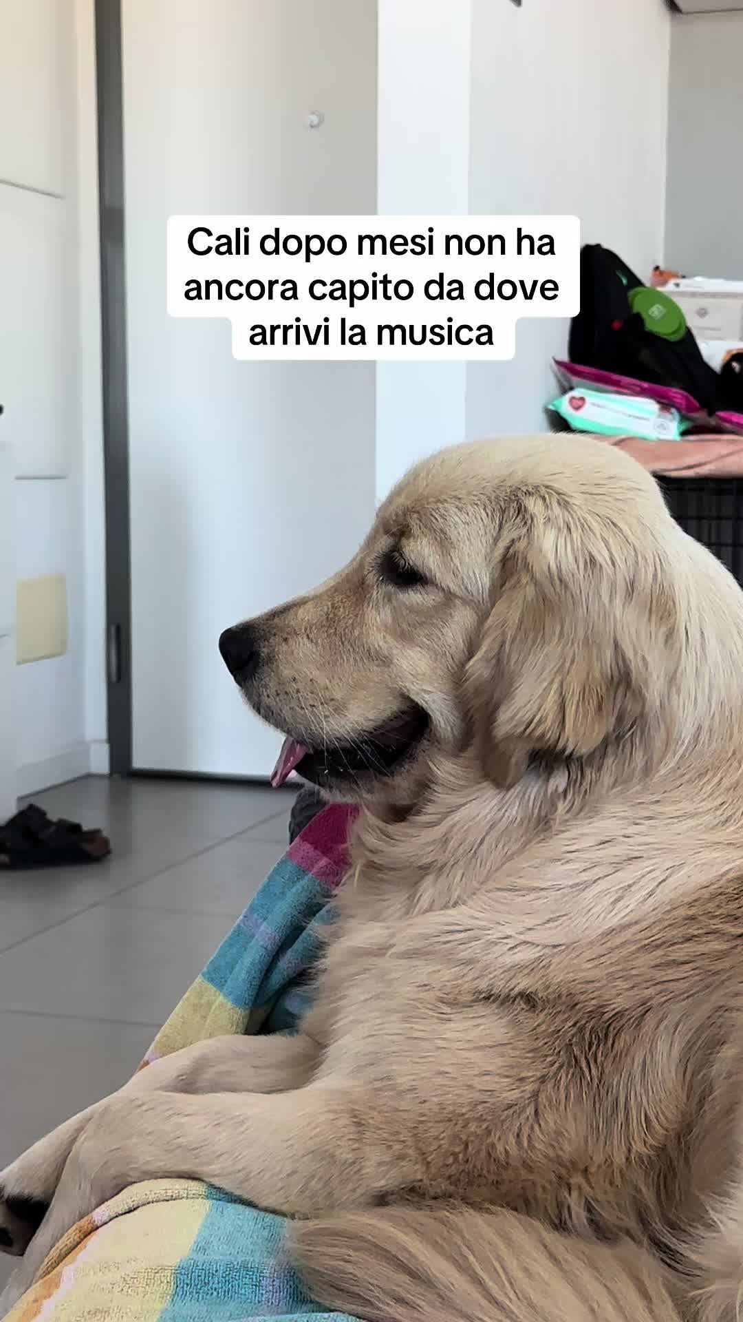 @Raffa&Cali