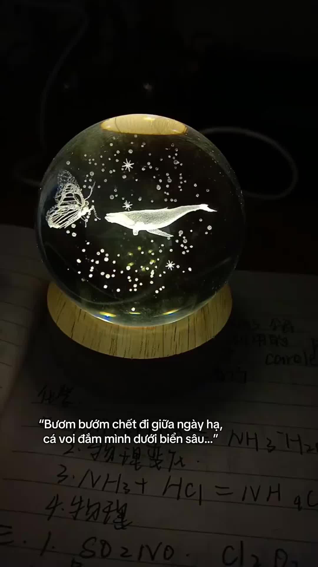 @Tiệm s&aacute;ch Tung Hoa