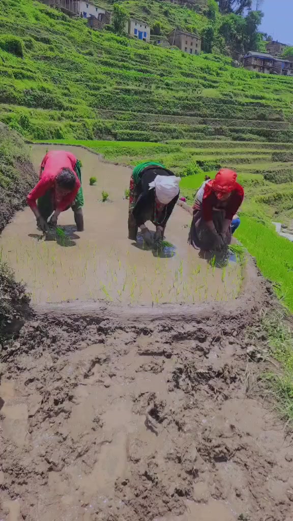@एक्लि बुहारी ❣️❣️