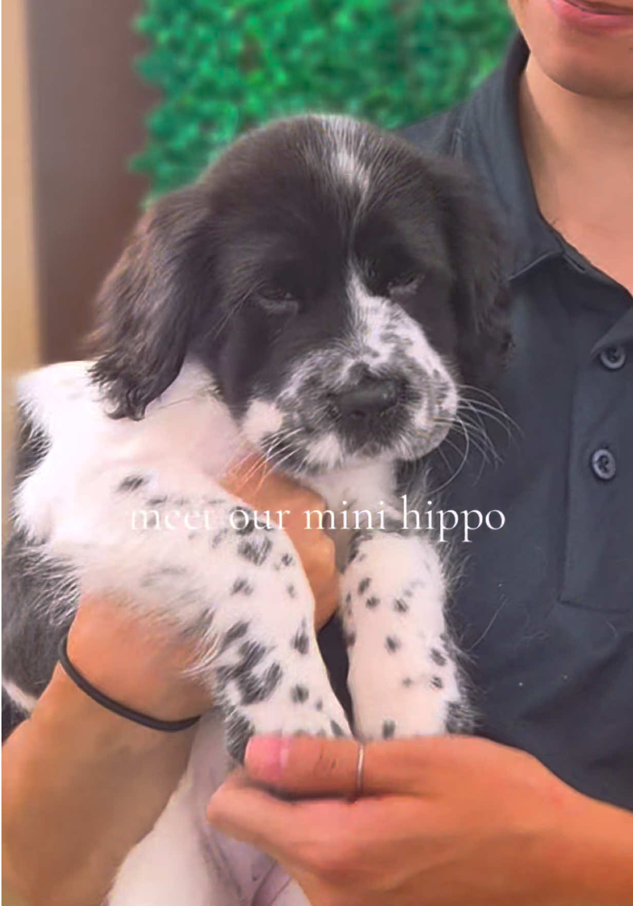 @Petland Oklahoma City
