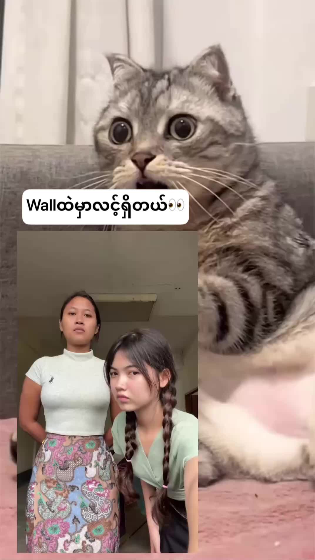 @ဒါဒါ (official)