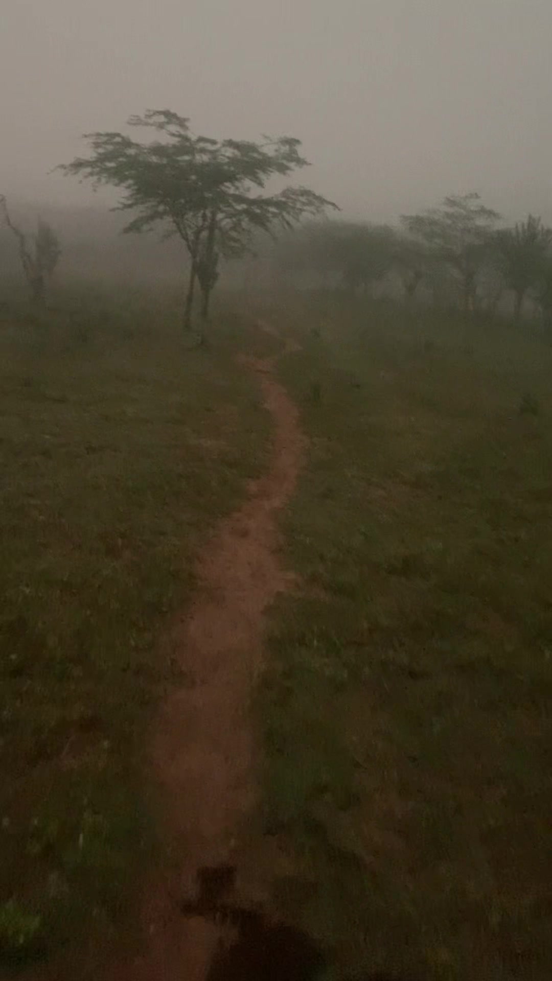 @Jacó