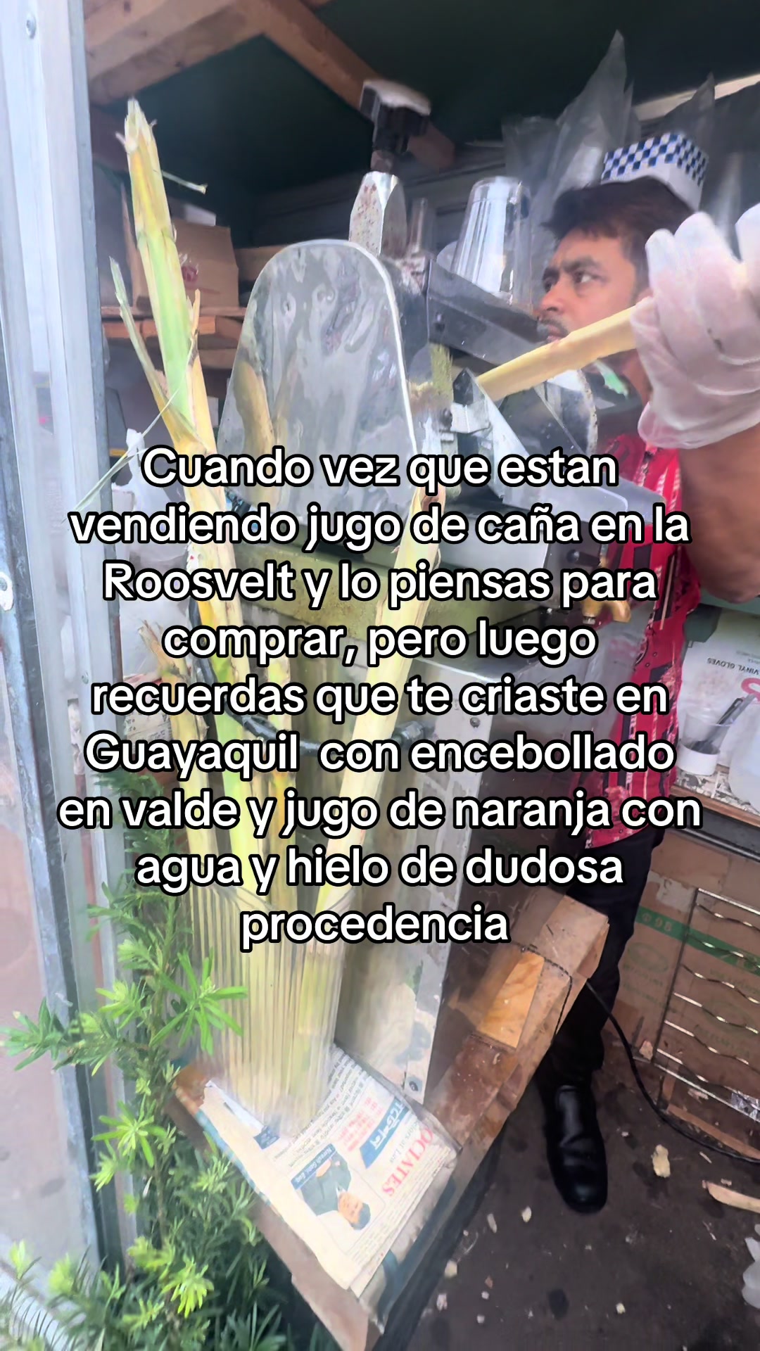 @carolis.593