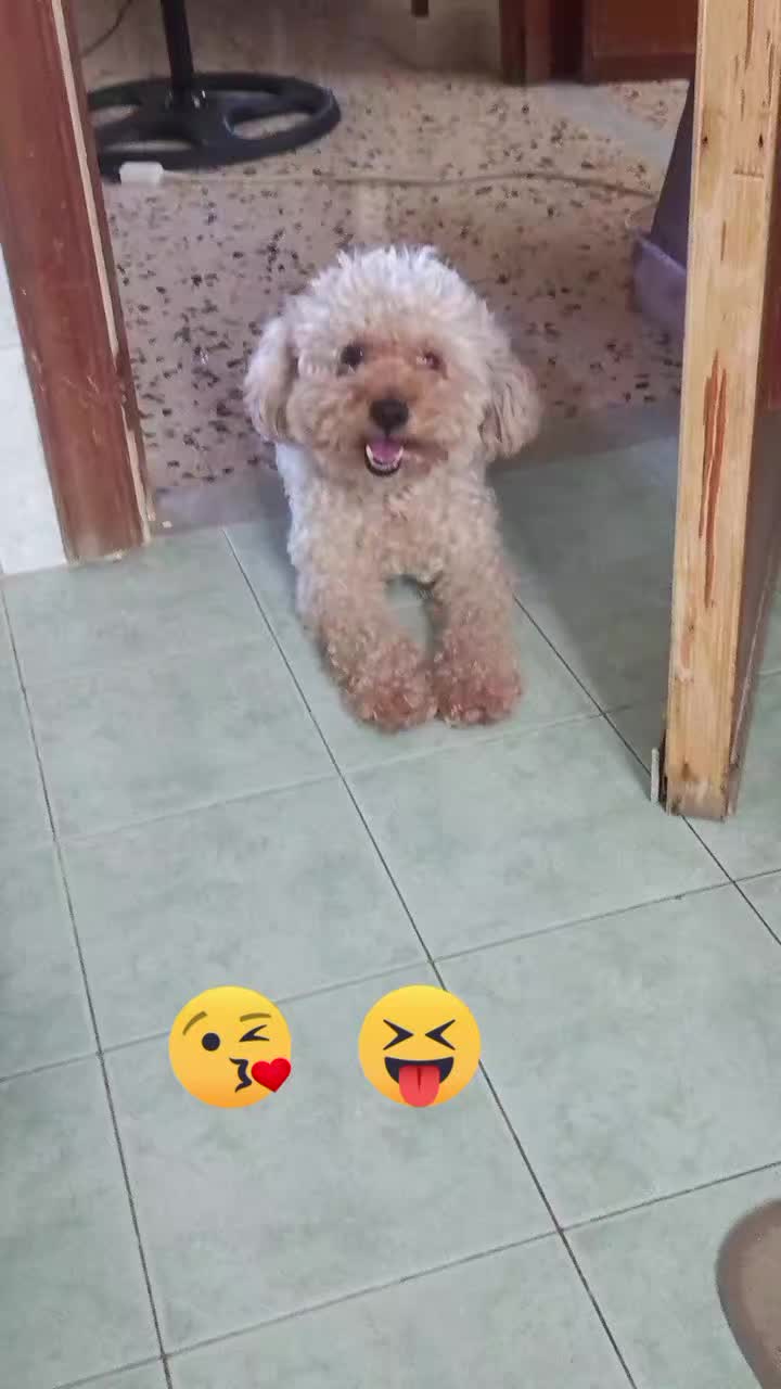 @Giovanna _chicco