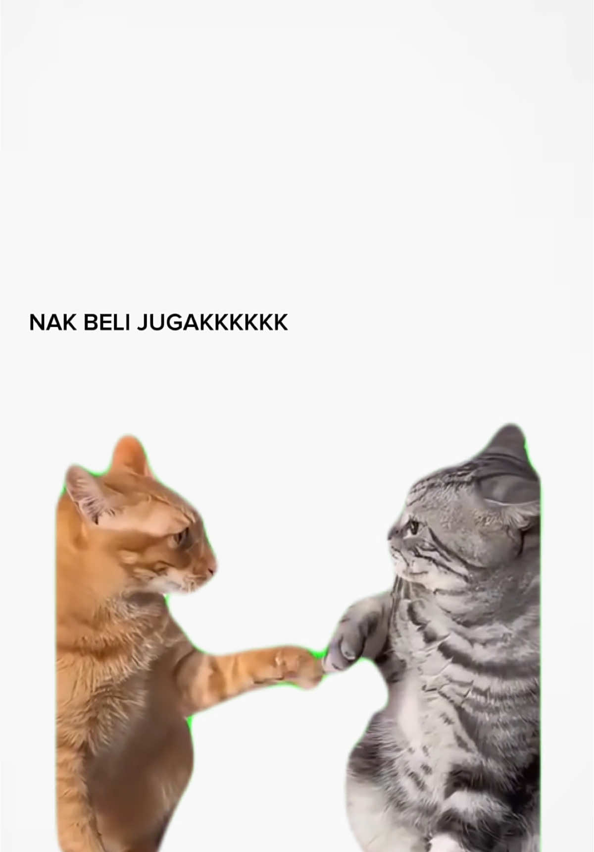 @FNF GOLDEN GATE SDN BHD