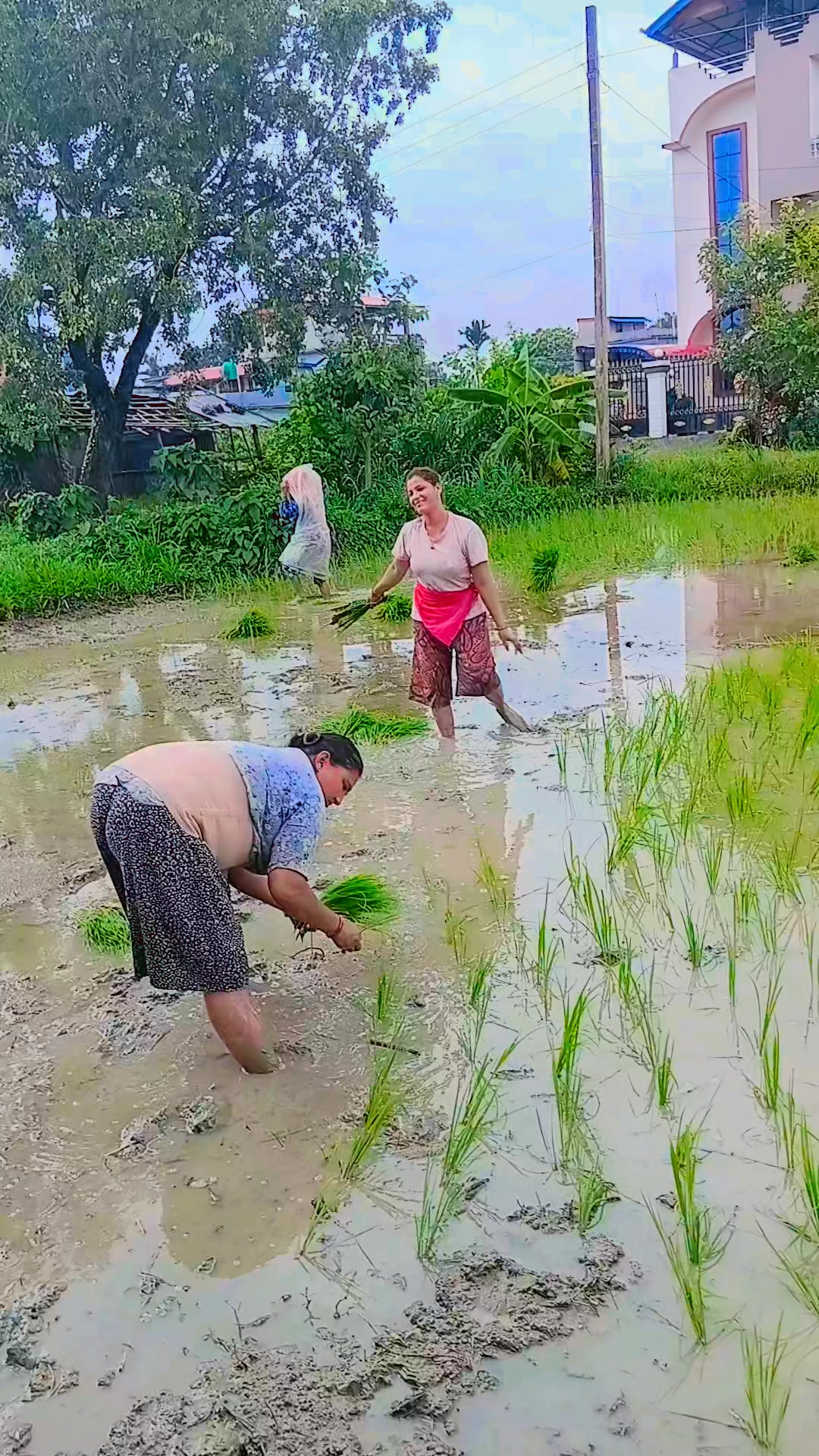 @Manisha Basnet