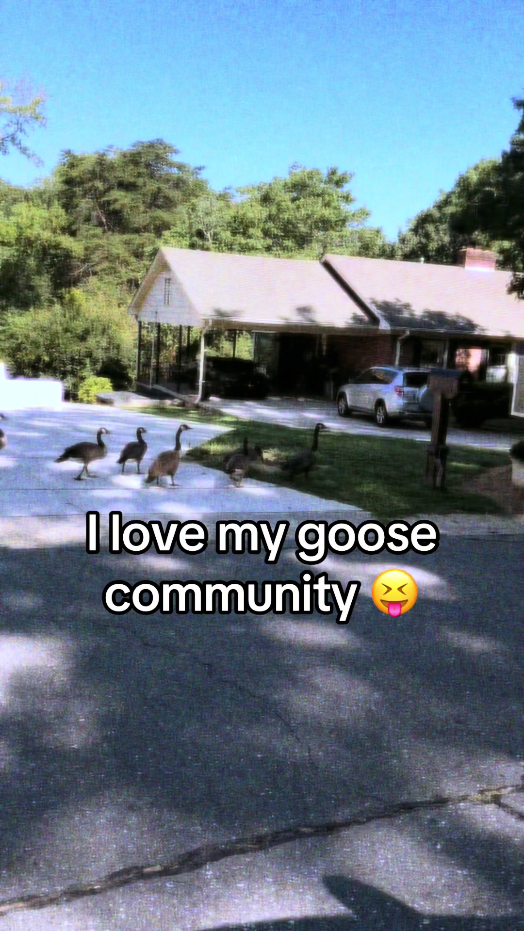 @Gracie