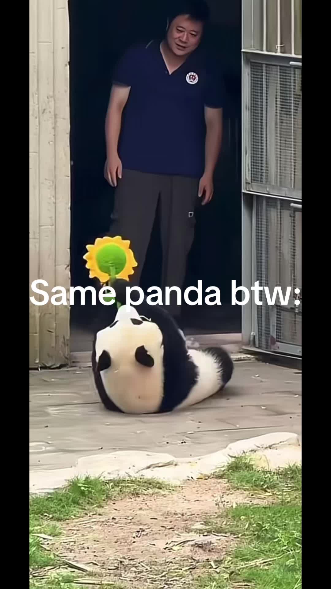 @๐
๐๐๐๐