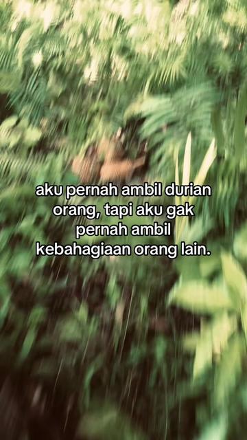 @fikarr