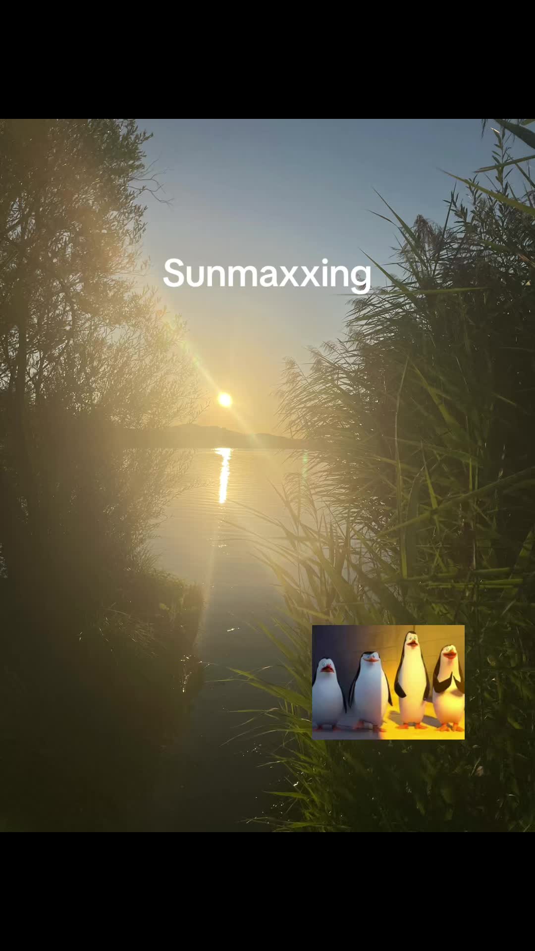 @quentin141.14