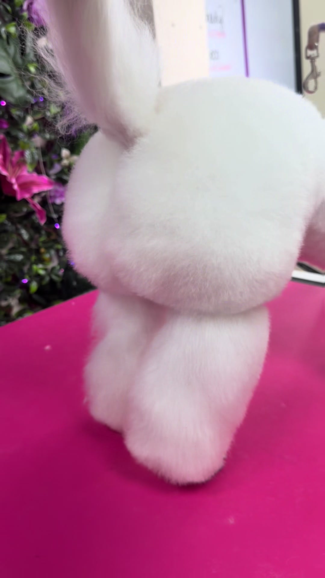 @fusionpetstylez