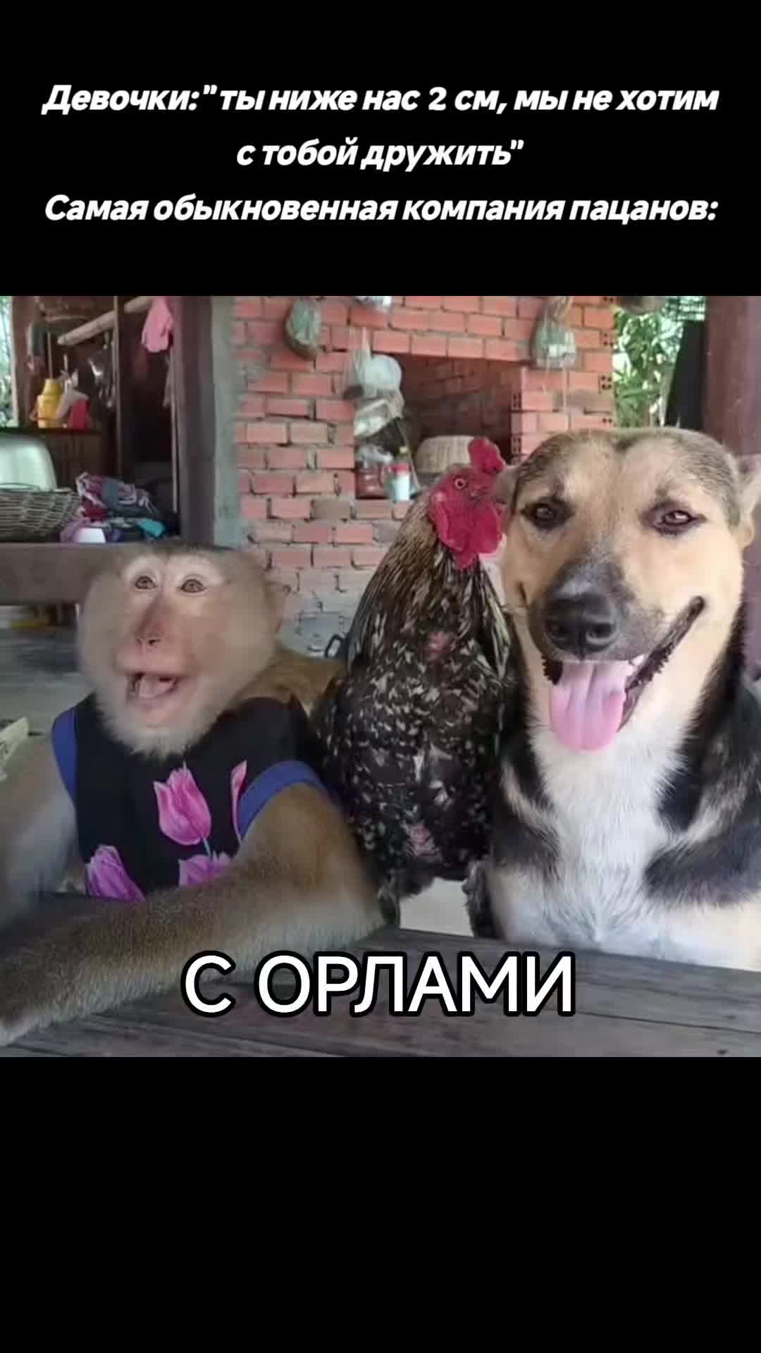 @чупик