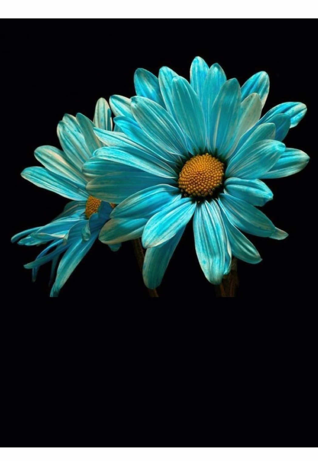 @☾