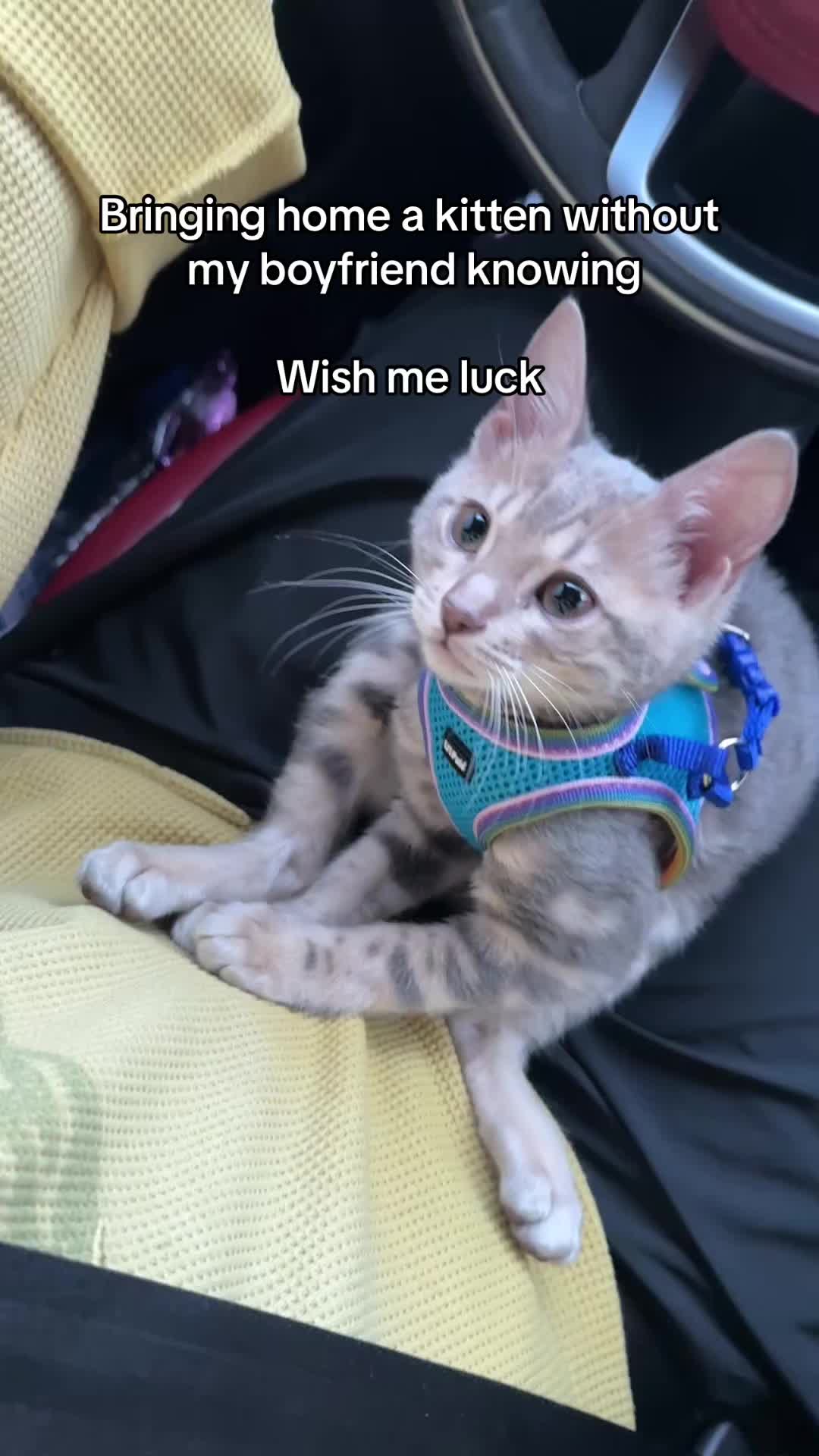 @Miranda Bissonnette