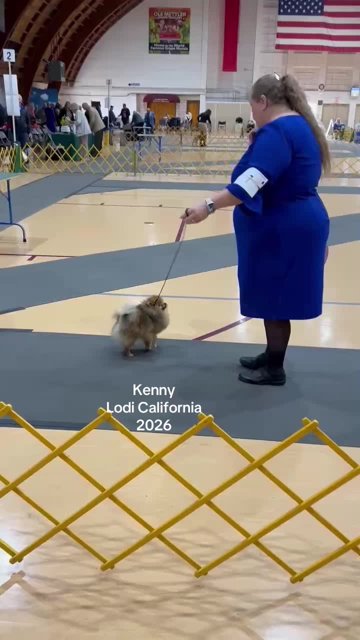 @Life of MESHKA the Pomeranian