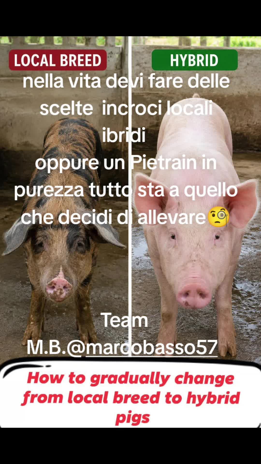@Stefano Zagara