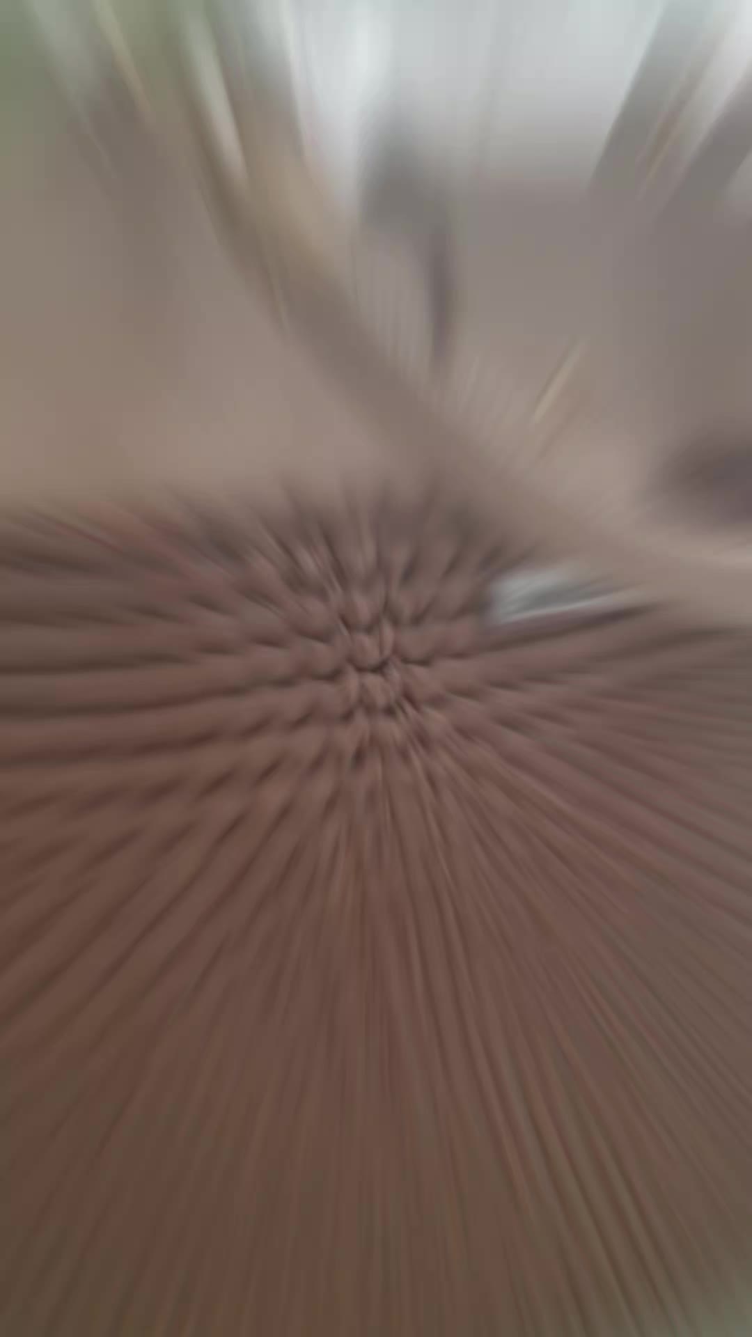 @Vania