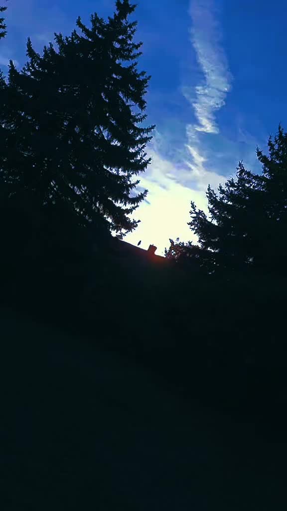 @ð«§ðºâ³ð¶ðð¶ð ðððððŸððºð«§