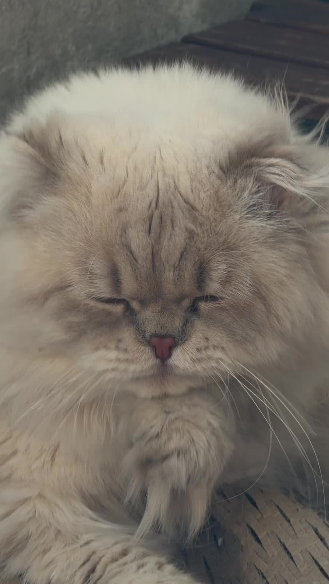 @Wildprincess9 ๐