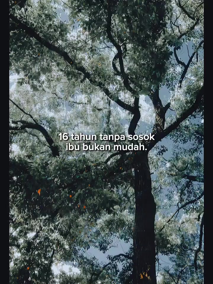 @Maya